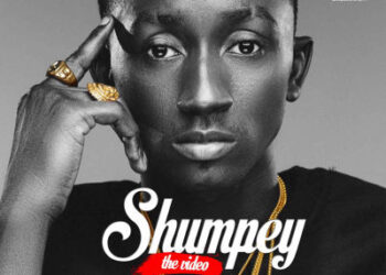 sheliroy shumpey art