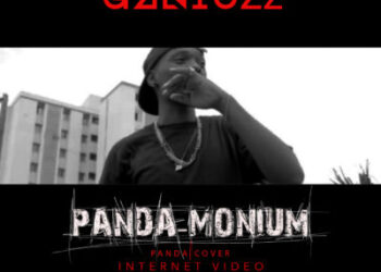 Geniuzz Panda Monium Video Poster