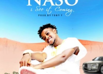 Naso I See It Coming ART