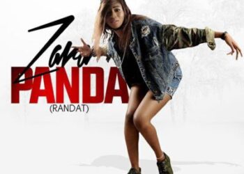 Zara Panda Cover
