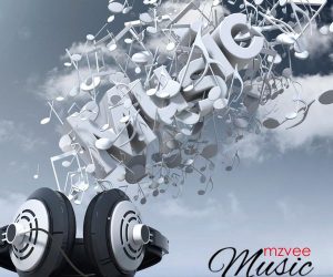 mzvee-2-300x250