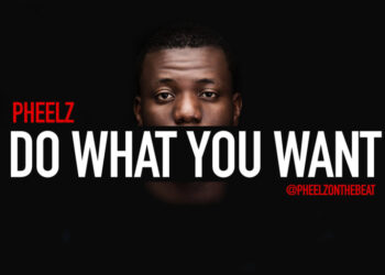 rsz pheelz do what you want 768x512