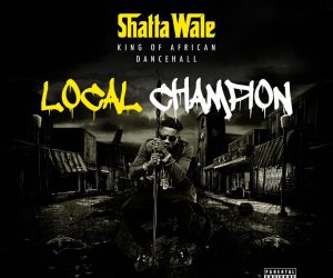 shattawale 300x250 1