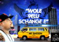 wole pelu shange copy8