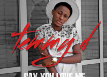 Temmy D Say You Love Me Art