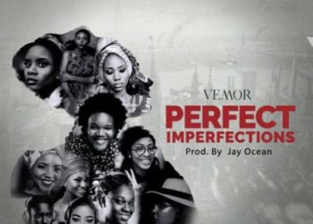 Perfect Imperfections By Vemor mp3 image 740x431@2x