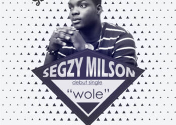 segzymilson artwork