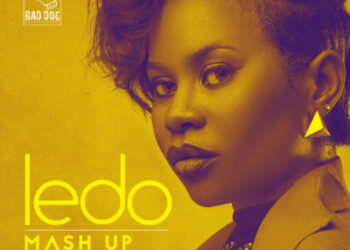 Mash UP Ledo mp3 image