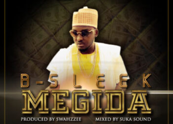 bsleek