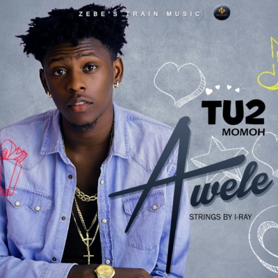 tu2-momoh-awele-art