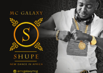 SHUPE LOGO x 1600