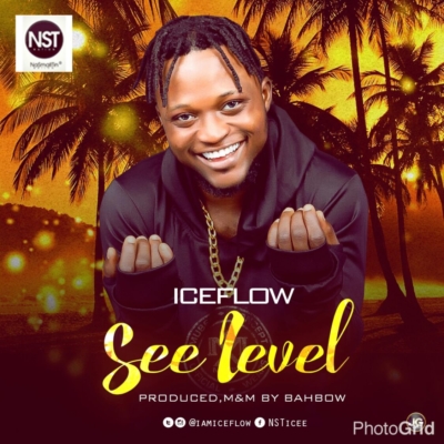 Ice Flow - See Level 1 width=400