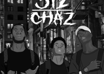 Chaz 312 cover image