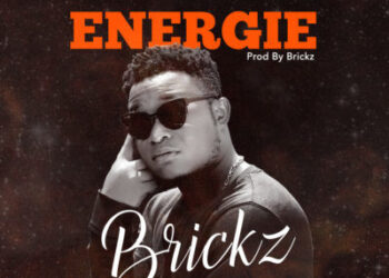 Energy Brickz 1