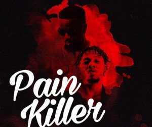 sarkodie painkiller 300x300