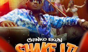 Chinko Ekun