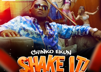 Chinko Ekun SHAKE IT Song Art