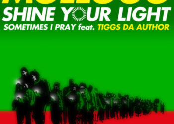 Moelogo Shine Your Light Artwork II