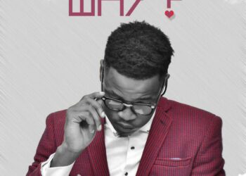 Bobcity - Why 2 Bobcity Why mp3 image