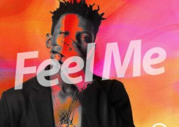Terry Apala Feel Me 1