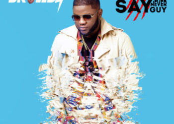 skalesfront album cover new