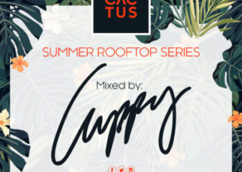 Cactus Mix Artwork