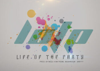 Scandamile Life of the Party mp3 image