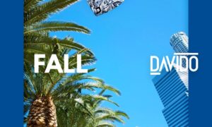 Davido Fall