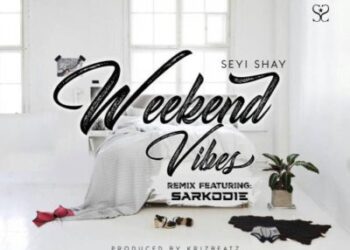 vibes remix