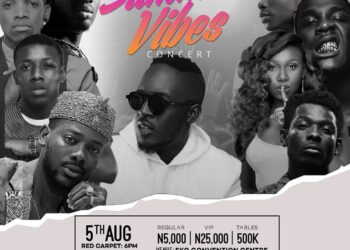 The Summer Vibes Concert Poster