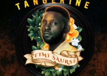 Timi Saurse Tangerine ART