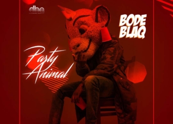Bode Blaq Party Animal mp3 image