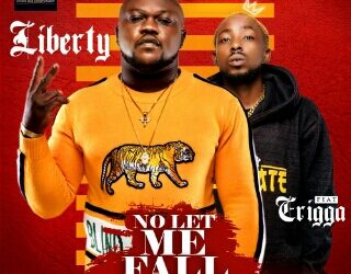 Liberty No Let Me Fall ft Erigga mp3 image