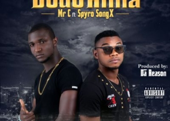 Mr C Dodo Rima ft Spyro SongX mp3 image