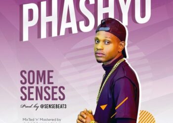 PhashyO Some Senses Prod By Sensebeat mp3 image