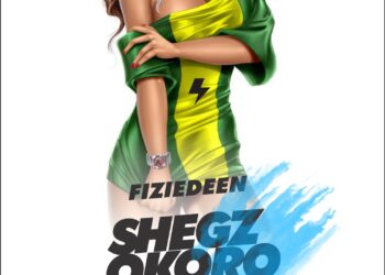Shegz Okoro Fiziedeen mp3 image