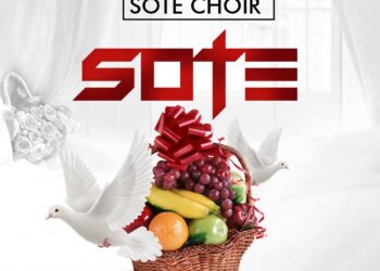 Sote artwork