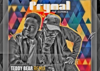 Teddy Bear Remix mp3 image
