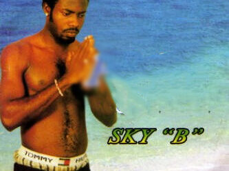 sky b