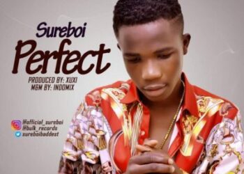 Sureboi Perfect