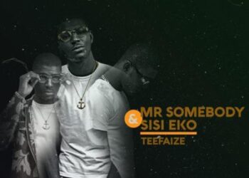 TeeFaize Somebody Sisi Eko Artwork