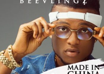 BEEVLINGZ ARTWORK