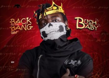 BUSH BABY BACK TO THE BANG ART