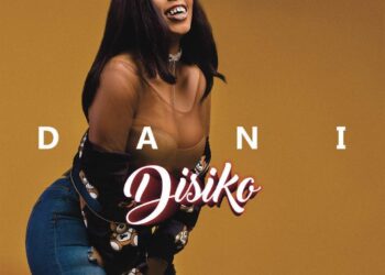 Dani Disiko mp3 image