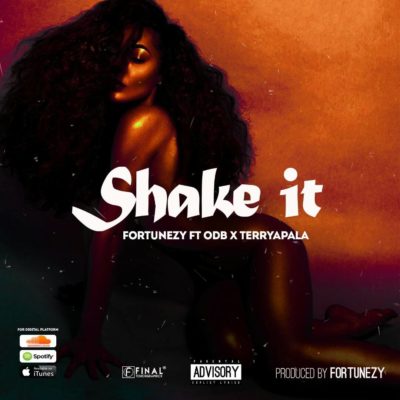 Fortunezy - Shake It ft. ODB & Terry Apala 1 width=400