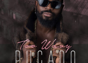 Pucado Too Wavy Artwork