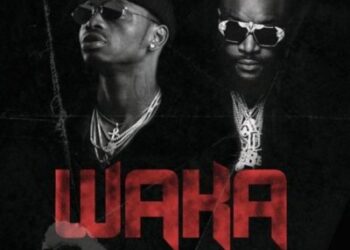 Waka COVER