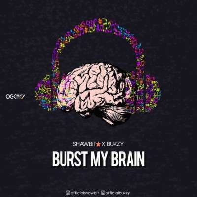 ShawBit - Burst My Brain ft. Bukzy 1 width=400