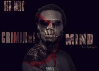 DEO Meek Criminal Mind