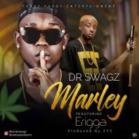 Dr swagz ft Erigga marley mp3 image